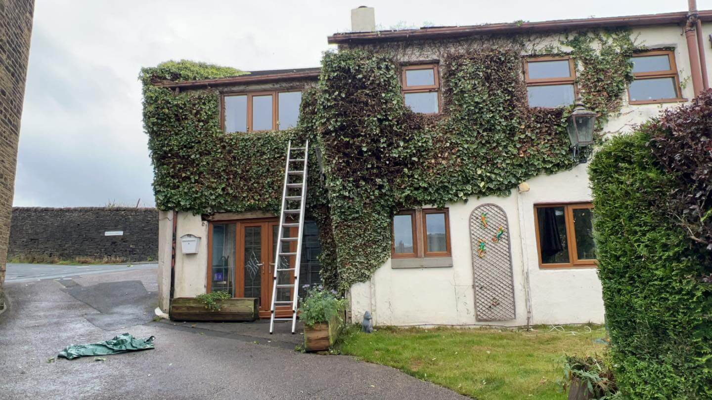 garden maintenance work for ivy removal in saltaire