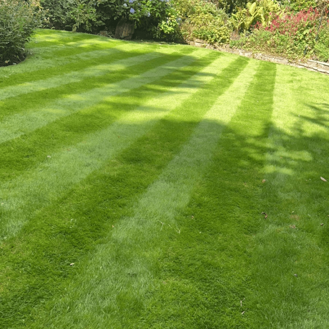 lawn care gardening service